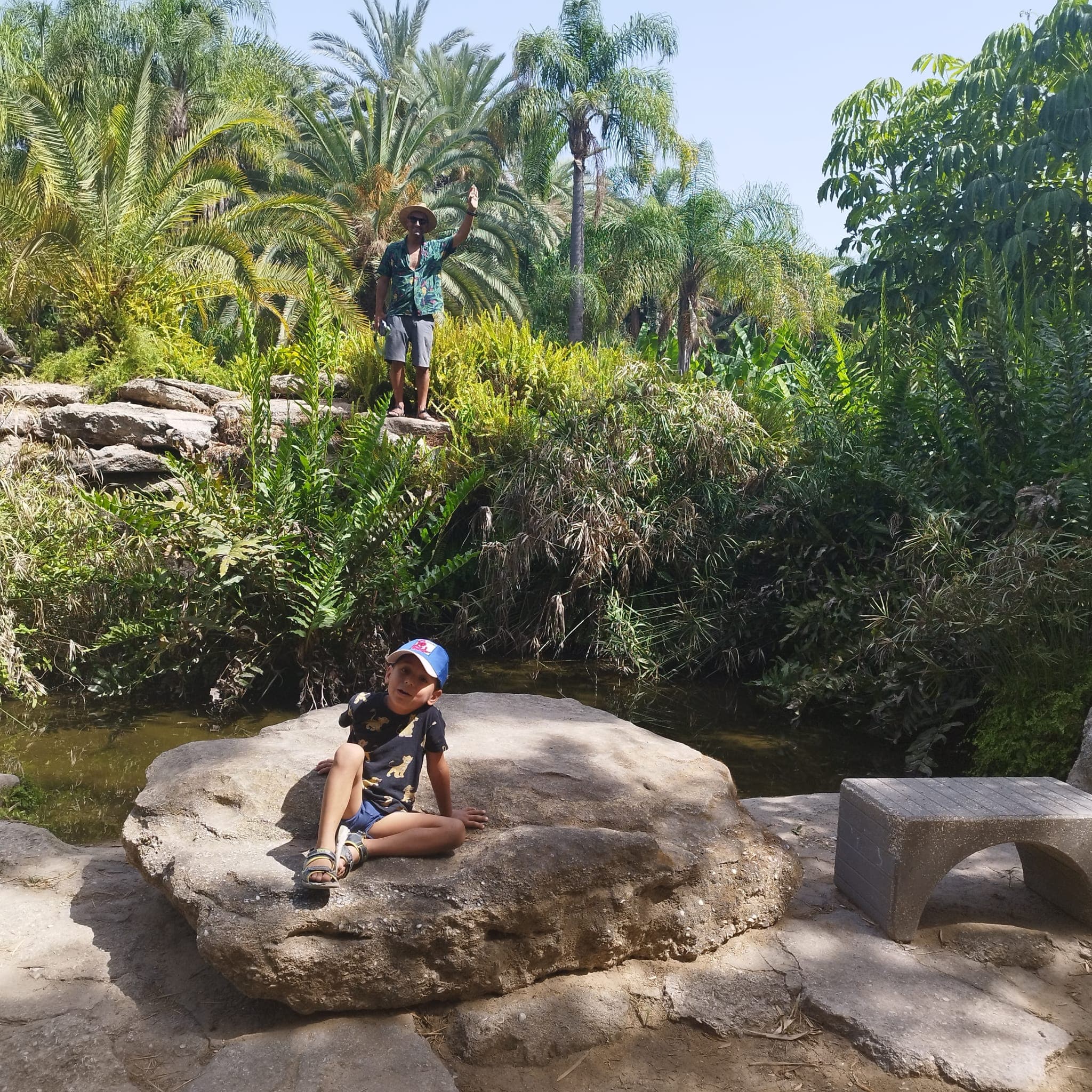 A day outdoors among palm trees